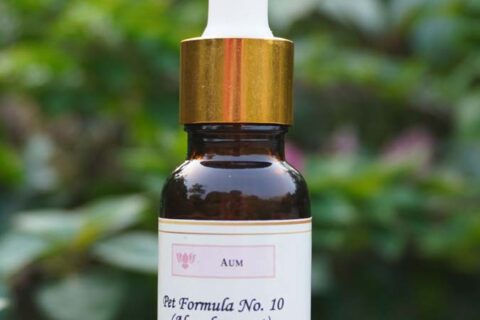 Pet Formula No. 10 (Abandonment Ease) 15 ML