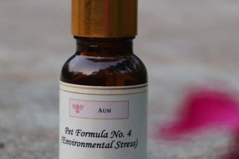 Pet Formula No. 4 (Environmental Stress Ease) 15 ML
