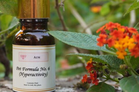 Pet Formula No. 6 (Hyperactivity Ease) 15 ML