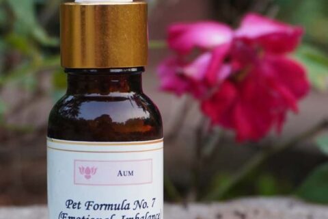 Pet Formula No. 7 (Emotional Imbalance) 15 ML