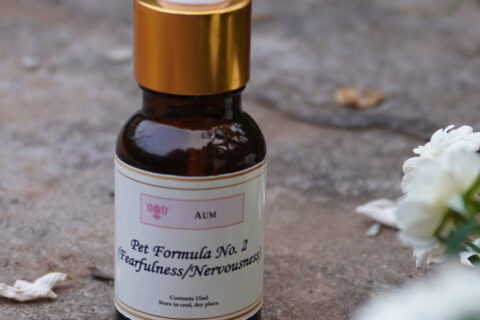 Pet Formula No. 2 (Fearfulness/Nervousness) 15 ML