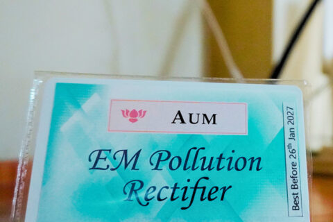 EM Pollution Rectifier
